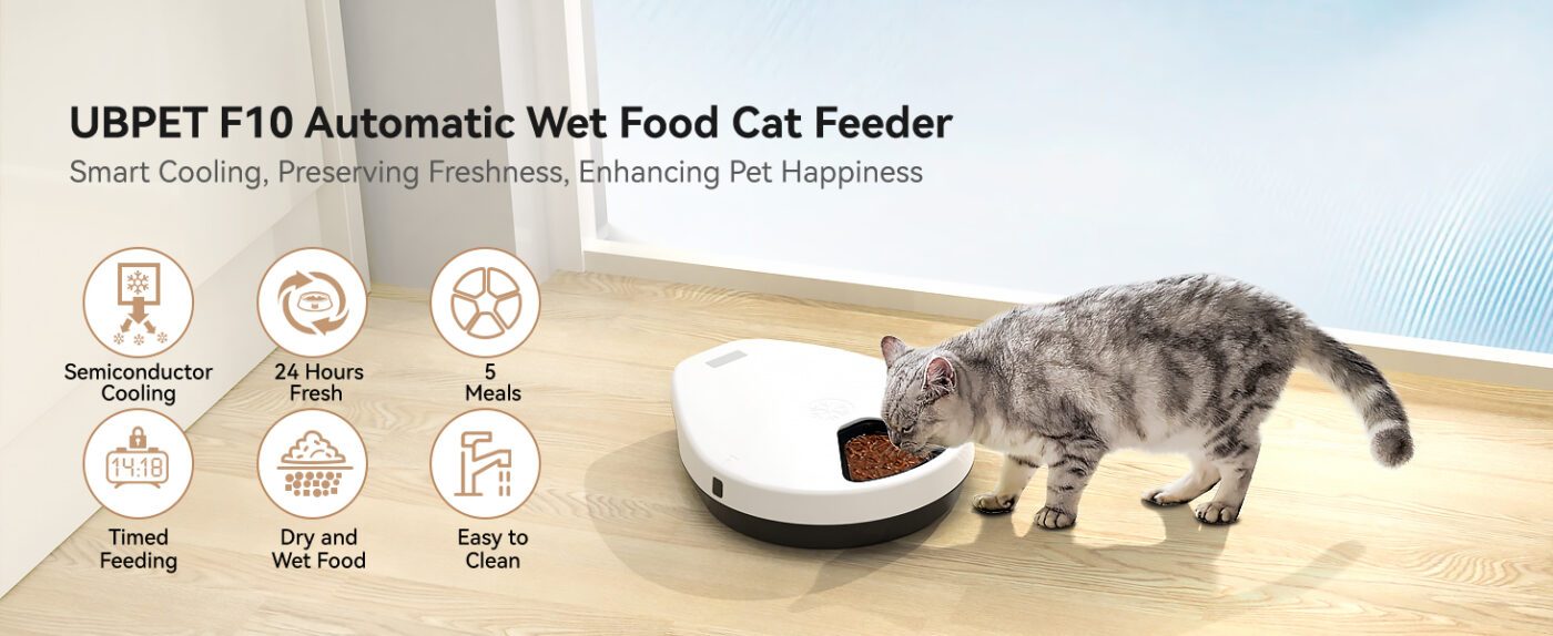F10 Automatic Cat Feeder Wet Food Review