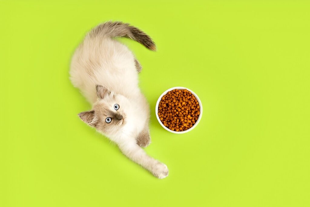 Ultimate Cat Food Buying Guide