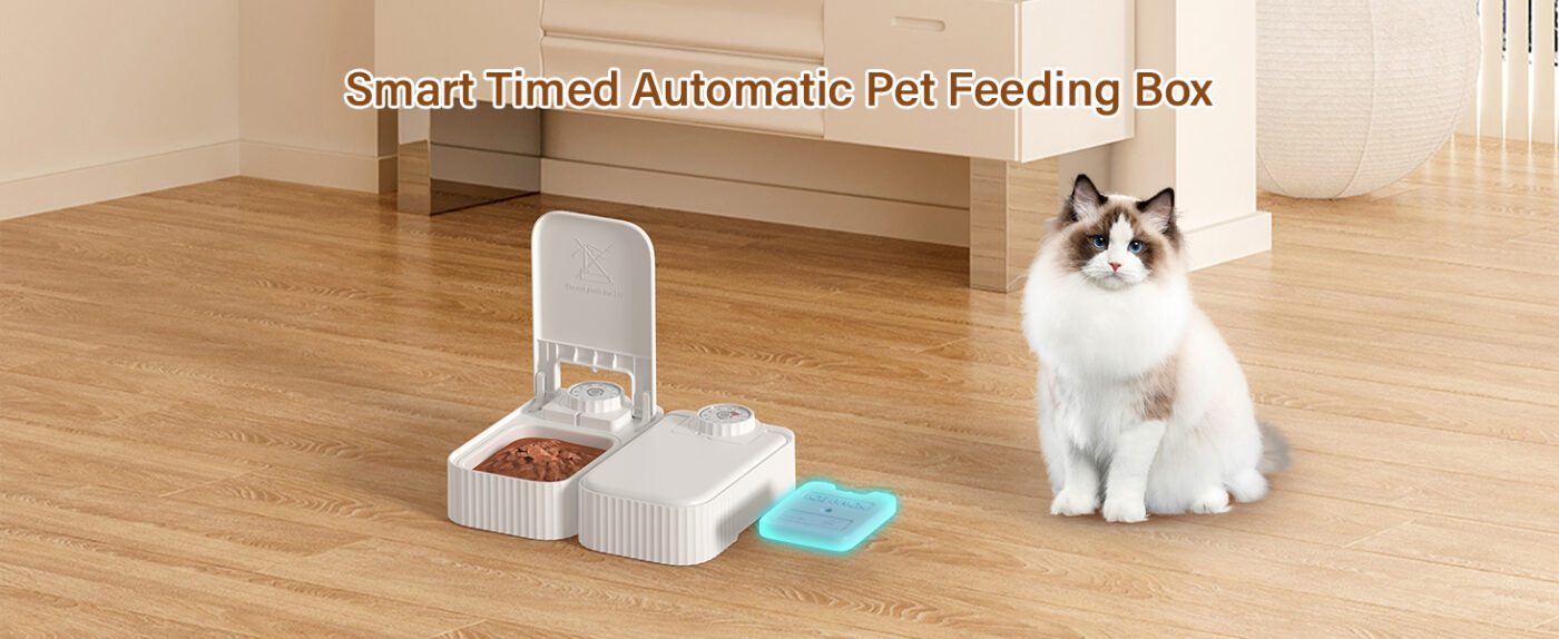Automatic Timed Cat Feeder Review