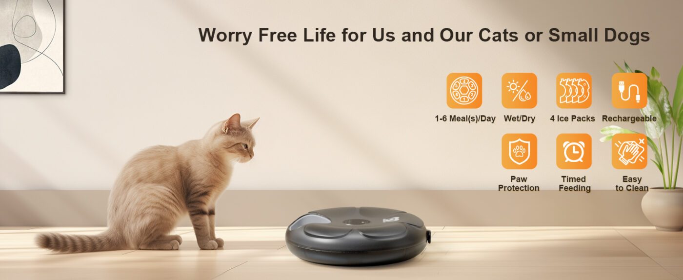 Automatic Cat Feeder Wet Food Review
