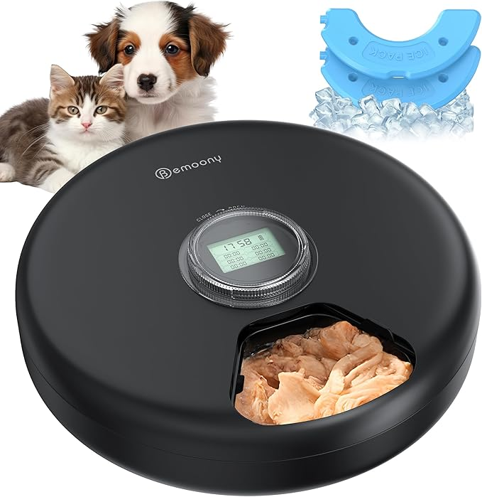 Automatic Cat Feeder Wet Food Review